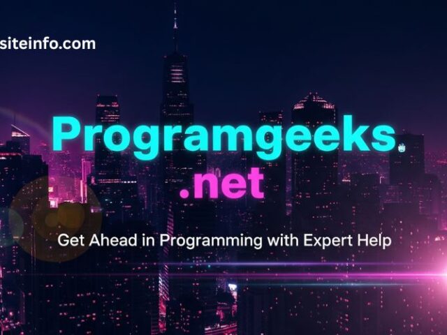 Programgeeks . net: Get Ahead in Programming with Expert Help